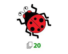 Insect Kingdom Creativity Pack | 2.0